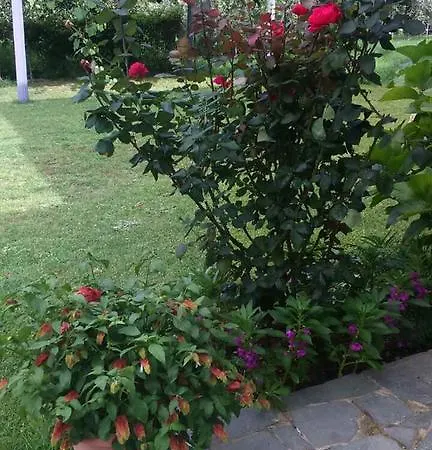Διαμέρισμα Yanna Κοίνυρα